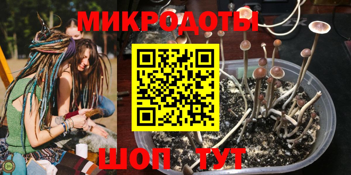 Псилоцибиновые грибы прущие грибы  Вход с VPN  Надым 
