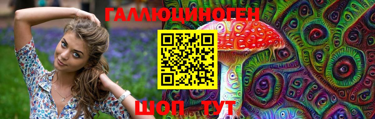 Псилоцибиновые грибы Psilocybe Надым
